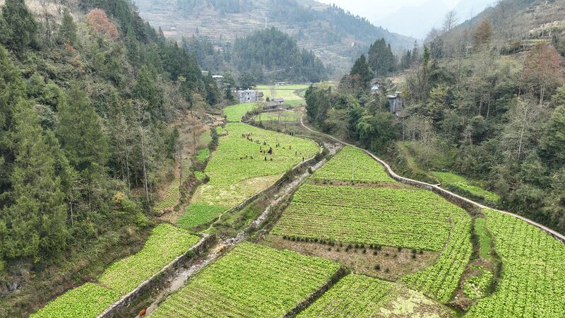 10_Aspectos_Destacados_de_la_Revitalizacio_n_Rural_de_China_en_2024