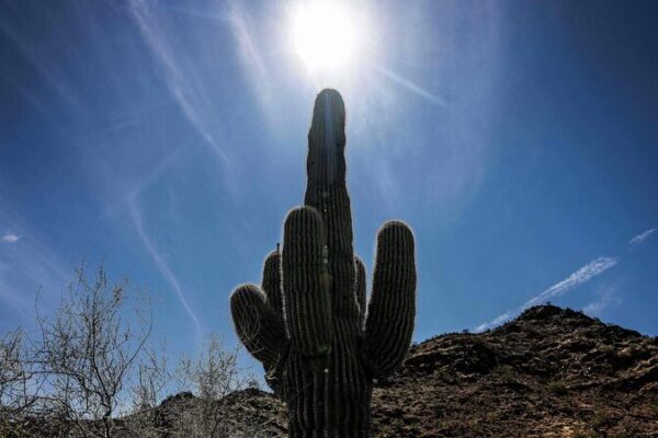 2024 Confirmado como el Año Más Caluroso de la Historia: Llamado Urgente a la Acción Climática 🌍🔥 2024_Confirmado_como_el_An_o_Ma_s_Caluroso_de_la_Historia__Llamado_Urgente_a_la_Accio_n_Clima_tica___