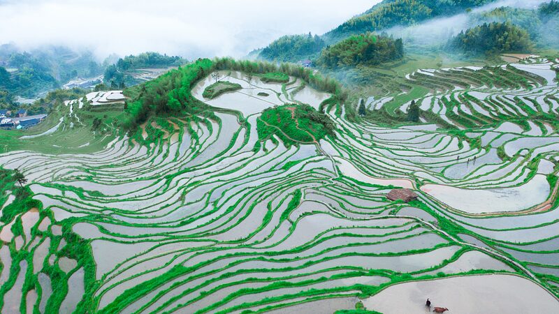 _21_Nuevos_Sitios_Esce_nicos_5A_en_China_que_Debes_Conocer_____