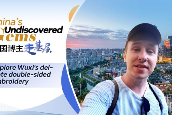 3 Años para una Obra Maestra: La Increíble Bordado Doble Faz de Wuxi Revelada 🎨 3_An_os_para_una_Obra_Maestra__La_Increi_ble_Bordado_Doble_Faz_de_Wuxi_Revelada__ video poster