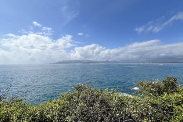 _5_Descubrimientos_Naturales_Impresionantes_de_2024_que_Nos_Dejaron_Boquiabiertos_