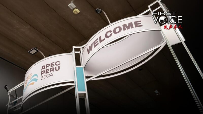 APEC_y_G20_en_Ame_rica_Latina___Que__Podemos_Esperar_