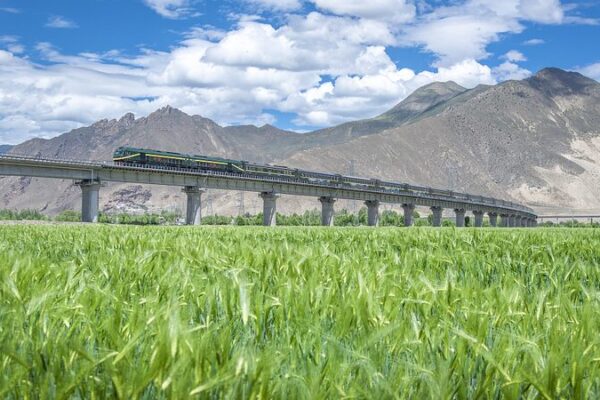 A Toda Velocidad: Un Viaje Épico en el Ferrocarril Qinghai-Xizang A_Toda_Velocidad__Un_Viaje_E_pico_en_el_Ferrocarril_Qinghai_Xizang