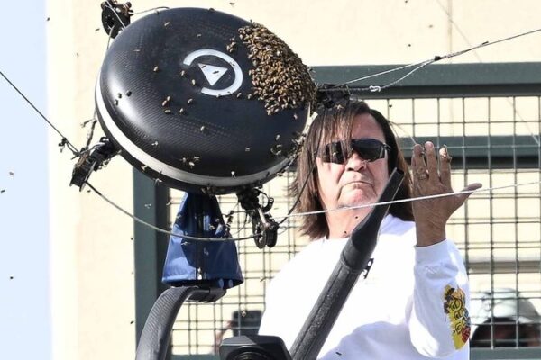 Abejas_Interrumpen_el_Duelo_Alcaraz_Zverev_en_Indian_Wells__