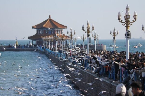 Abraza_la_primavera_con_gaviotas_reidoras_sobrevolando_la_costa_de_Qingdao___