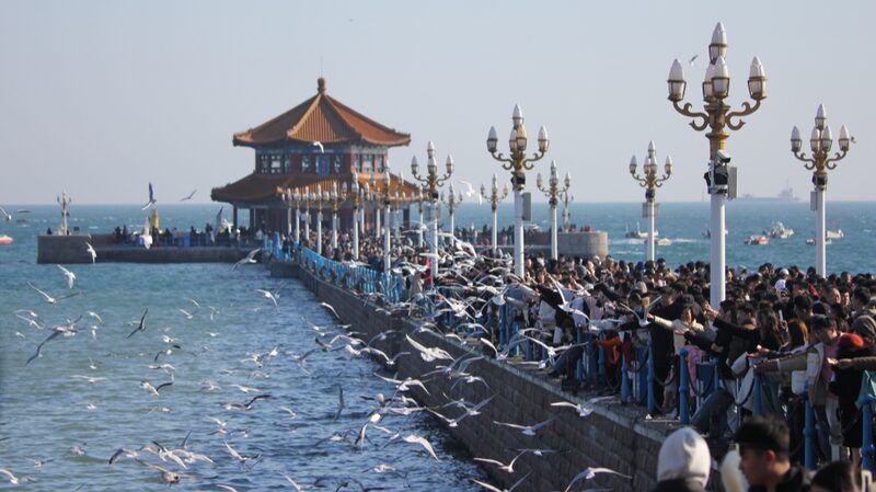 Abraza_la_primavera_con_gaviotas_reidoras_sobrevolando_la_costa_de_Qingdao___