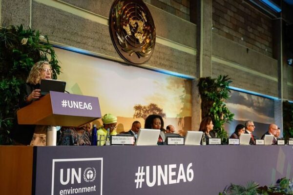 Activistas_en_la_UNEA_6_exigen_legislacio_n_ambiental_inclusiva__