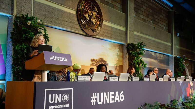 Activistas_en_la_UNEA_6_exigen_legislacio_n_ambiental_inclusiva__