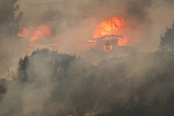 ¡Alerta! Chile en riesgo de más incendios devastadores por el calentamiento global _Alerta__Chile_en_riesgo_de_ma_s_incendios_devastadores_por_el_calentamiento_global