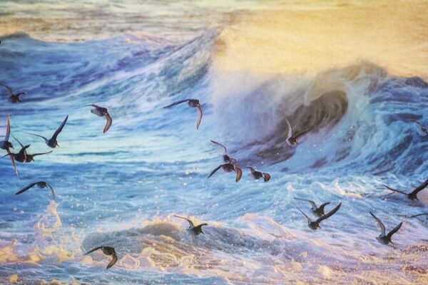 ¡Alerta! Un sistema oceánico clave podría colapsar pronto 🌊 _Alerta__Un_sistema_ocea_nico_clave_podri_a_colapsar_pronto__