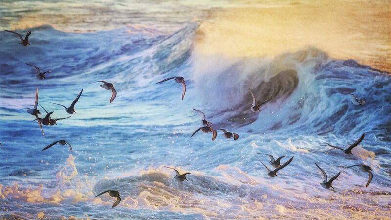 _Alerta__Un_sistema_ocea_nico_clave_podri_a_colapsar_pronto__