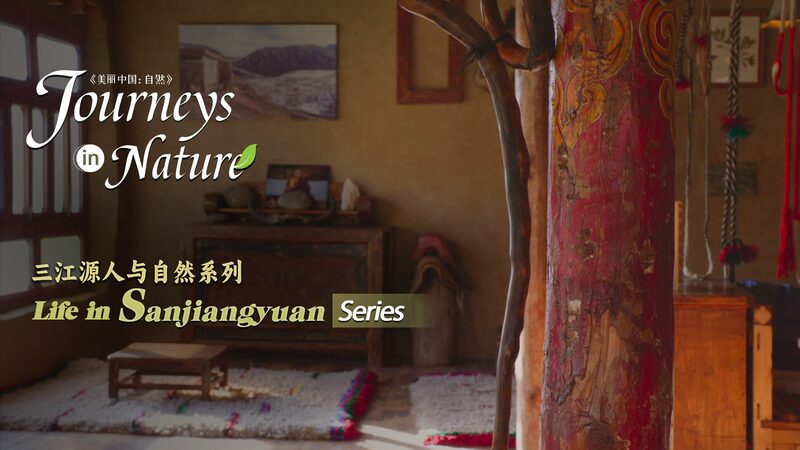 Alta_Vida__Co_mo_el_Pueblo_Jianzuo_Abandono__el_Pla_stico_a_4_100_Metros____ video poster