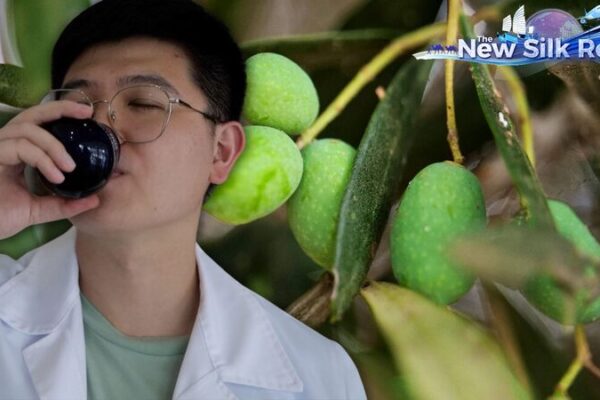 ¡Aprende a degustar aceite de oliva como un profesional en Creta! 🍈✨ _Aprende_a_degustar_aceite_de_oliva_como_un_profesional_en_Creta____ video poster