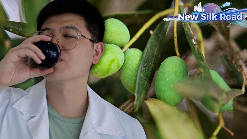 _Aprende_a_degustar_aceite_de_oliva_como_un_profesional_en_Creta____ video poster