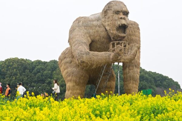 Arte y flores de colza agregan vida a los jardines de Suzhou 🌼 Arte_y_flores_de_colza_agregan_vida_a_los_jardines_de_Suzhou__