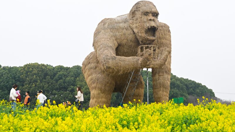 Arte_y_flores_de_colza_agregan_vida_a_los_jardines_de_Suzhou__