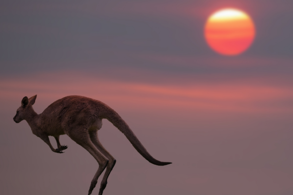 Australia experimenta la primavera más calurosa registrada 🌡️🔥 Australia_experimenta_la_primavera_ma_s_calurosa_registrada____