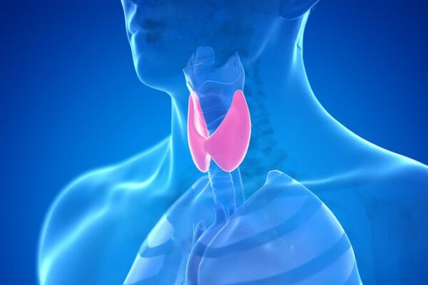 ¡Avance revolucionario en cáncer de tiroides gracias a cientĂficos chinos! _Avance_revolucionario_en_ca_ncer_de_tiroides_gracias_a_cienti_ficos_chinos_