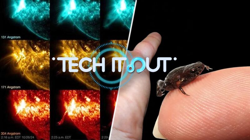 Avances_en_Energi_a_Solar__Ranas_Diminutas_y_Erupciones_Solares___Destacados_Cienti_ficos_de_Esta_Semana______ video poster