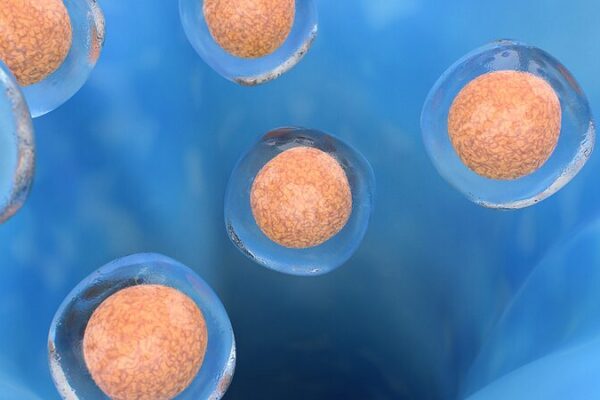 _Avances_increi_bles____Cienti_ficos_se_acercan_al_atlas_completo_de_ce_lulas_humanas