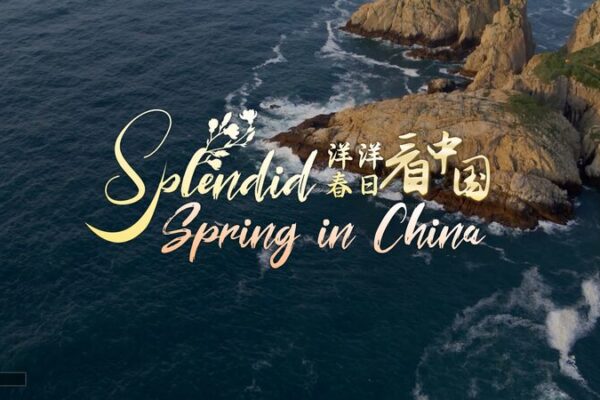 Aventuras en las Islas del Mar: ¡Conoce la Asombrosa Vida Silvestre de China! 🐦🦀🐙 Aventuras_en_las_Islas_del_Mar___Conoce_la_Asombrosa_Vida_Silvestre_de_China_____ video poster