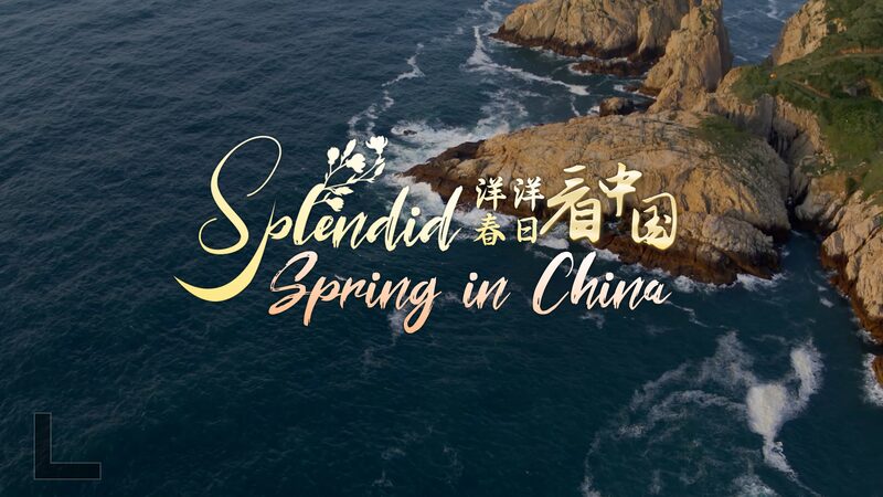 Aventuras_en_las_Islas_del_Mar___Conoce_la_Asombrosa_Vida_Silvestre_de_China_____ video poster