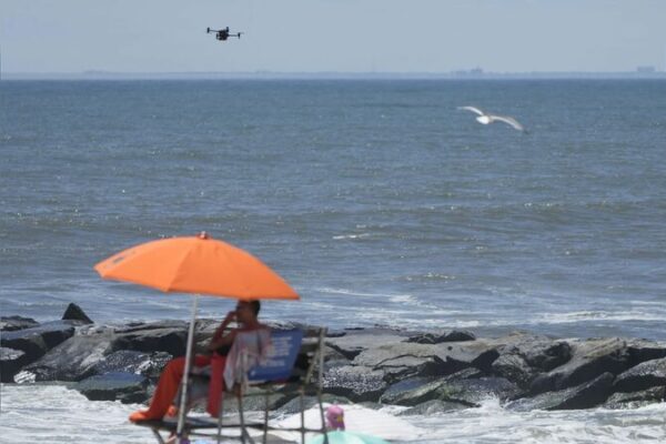 Aves_luchan_contra_drones___Las_patrullas_de_tiburones_de_alta_tecnologi_a_en_playas_de_NYC_esta_n_bajo_ataque_____