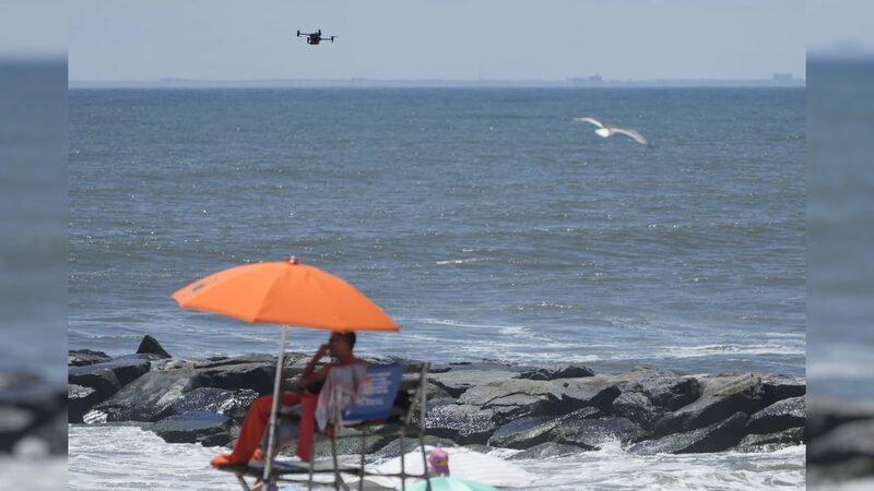 Aves_luchan_contra_drones___Las_patrullas_de_tiburones_de_alta_tecnologi_a_en_playas_de_NYC_esta_n_bajo_ataque_____