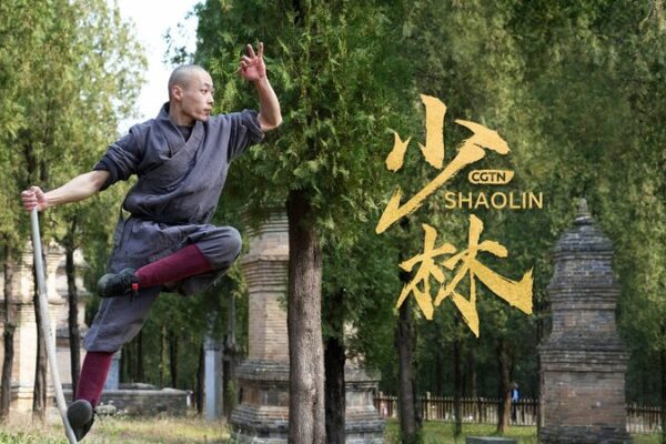Bastón Mono de Shaolin: El Épico Kung Fu Inspirado en el Legendario Rey Mono 🐒 Basto_n_Mono_de_Shaolin__El_E_pico_Kung_Fu_Inspirado_en_el_Legendario_Rey_Mono__