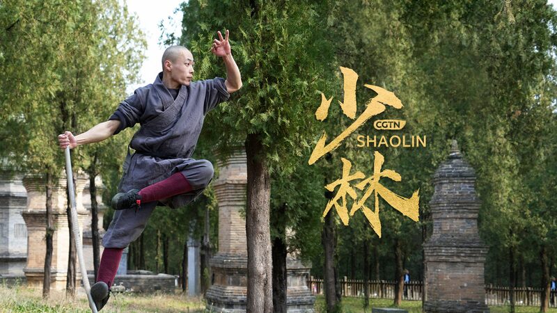 Basto_n_Mono_de_Shaolin__El_E_pico_Kung_Fu_Inspirado_en_el_Legendario_Rey_Mono__