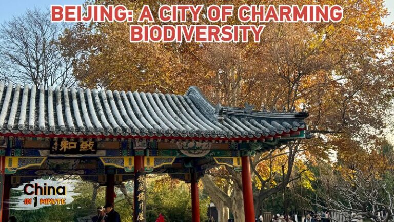 Beijing_Florece__Co_mo_la_Capital_de_China_se_Esta__Convirtiendo_en_un_Punto_Caliente_de_Biodiversidad video poster