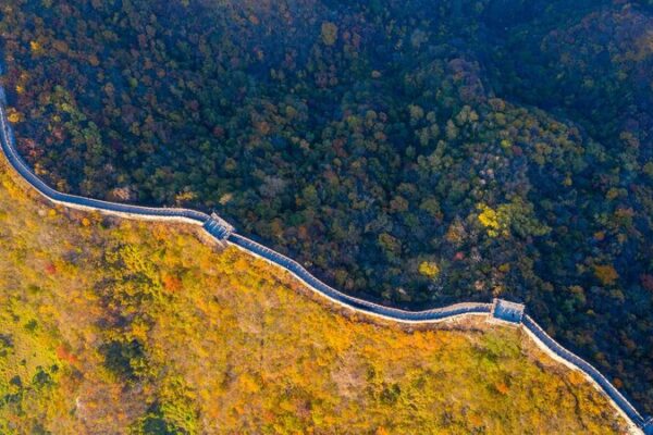 Beijing_apunta_a_un_45__de_cobertura_forestal_para_2025___