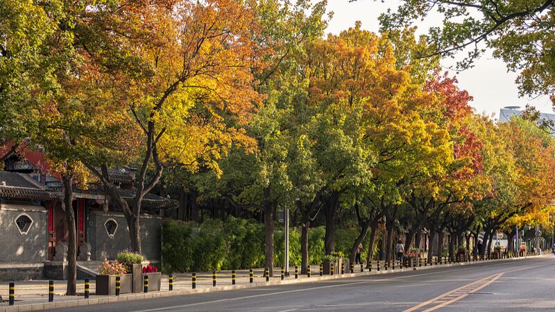__Beijing_se_transformara__en_una_ciudad_jardi_n___Ma_s_espacios_verdes_para_2024_