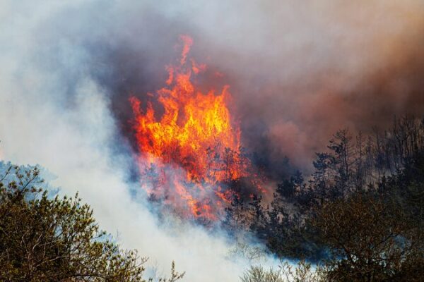 🔥 ¡Bombero y funcionario forestal acusados por incendios mortales en Chile! 😱 ___Bombero_y_funcionario_forestal_acusados_por_incendios_mortales_en_Chile___