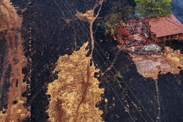 Brasil_enfrenta_la_peor_sequi_a_en_44_an_os__15_estados_afectados