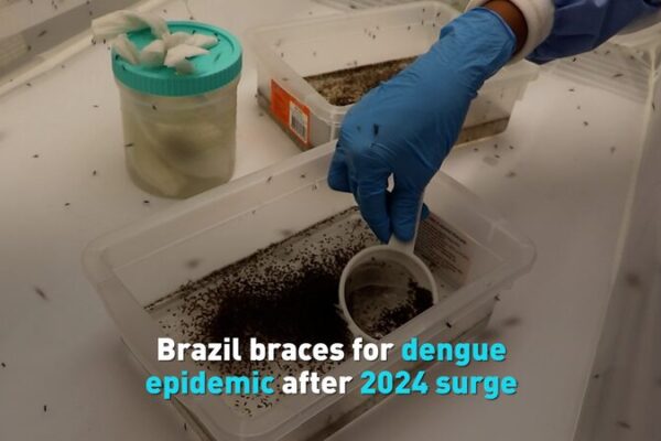 Brasil se prepara para un nuevo brote de dengue tras el aumento en 2024 Brasil_se_prepara_para_un_nuevo_brote_de_dengue_tras_el_aumento_en_2024 video poster