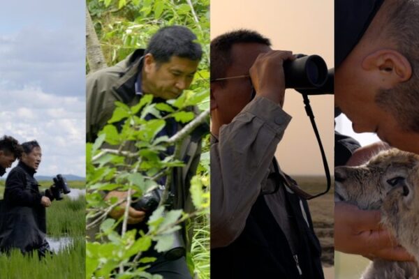 CGTN presenta ‘Guardianes de la Armonía’: Un emotivo viaje con los héroes de la naturaleza CGTN_presenta__Guardianes_de_la_Armoni_a___Un_emotivo_viaje_con_los_he_roes_de_la_naturaleza video poster