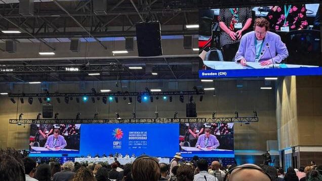COP16_concluye_con_acuerdos_histo_ricos_para_la_biodiversidad___