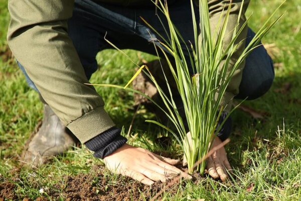 Cambiar_las_pra_cticas_agri_colas_podri_a_reducir_un_tercio_de_las_emisiones_globales___