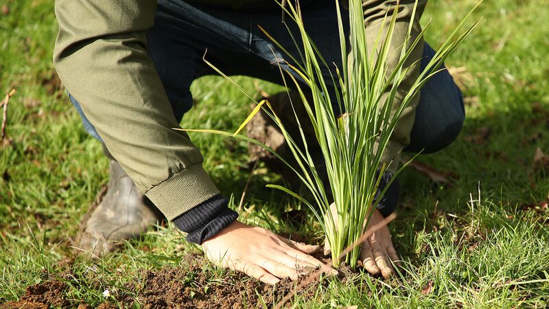 Cambiar_las_pra_cticas_agri_colas_podri_a_reducir_un_tercio_de_las_emisiones_globales___