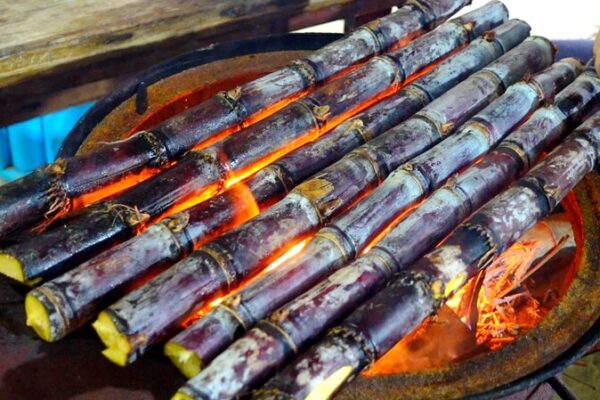 Can_a_de_Azu_car_a_la_Parrilla__La_Dulce_Nueva_Tendencia_de_Bocadillos_en_Hainan___