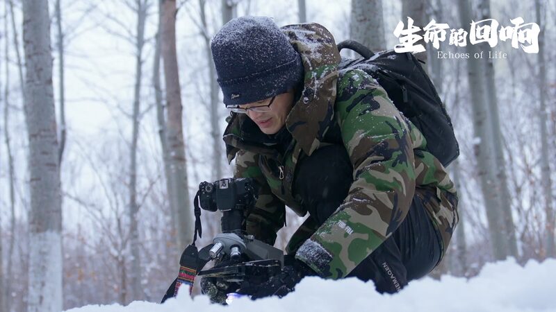 Capturando_la_Belleza__La_Jornada_Microsco_pica_de_Zhang_Chao_en_los_Copos_de_Nieve____