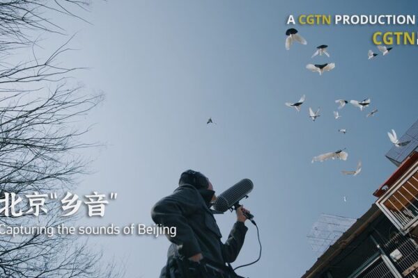 Capturando los sonidos de Pekín: preservando los silbatos de palomas con Colin Chinnery Capturando_los_sonidos_de_Peki_n__preservando_los_silbatos_de_palomas_con_Colin_Chinnery video poster