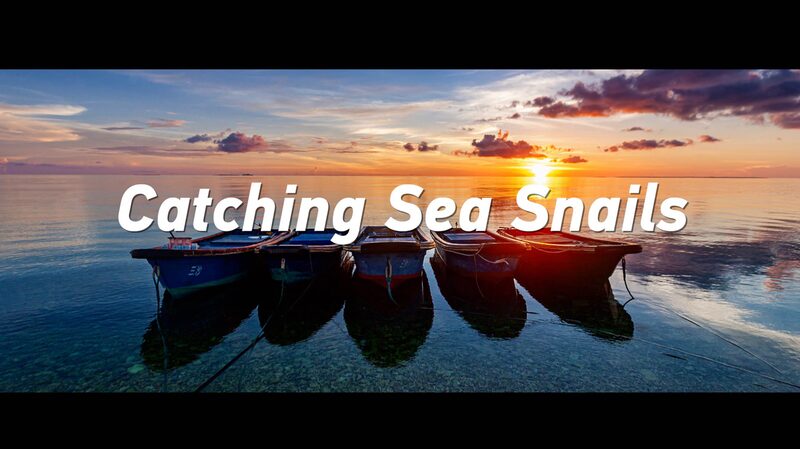 Cazando_caracoles_de_mar__un_viaje_de_padre_e_hijo_en_el_Mar_del_Sur_de_China
