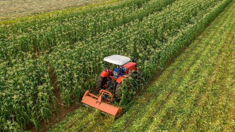 _China_abre_sus_puertas__33_pai_ses_africanos_se_benefician_de_acceso_libre_de_aranceles