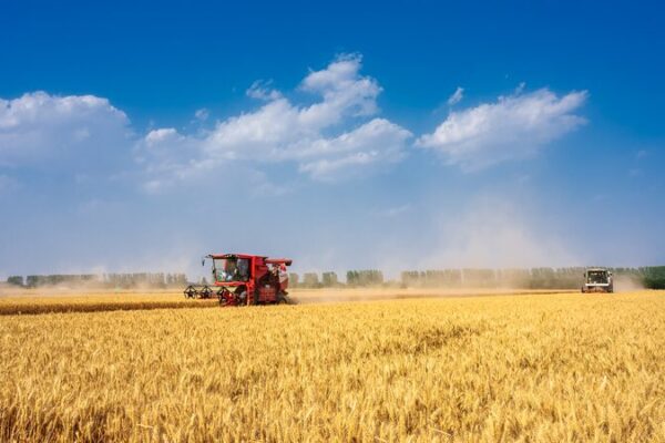China avanza en el desarrollo de la agricultura verde 🌿 China_avanza_en_el_desarrollo_de_la_agricultura_verde__