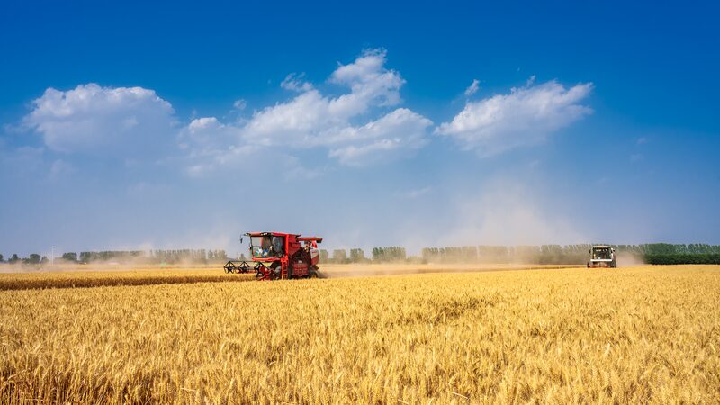 China_avanza_en_el_desarrollo_de_la_agricultura_verde__