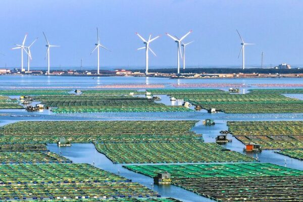 China brilla en Davos: la innovación tecnológica y el crecimiento verde ocupan el centro del escenario 🌟🌿 China_brilla_en_Davos__la_innovacio_n_tecnolo_gica_y_el_crecimiento_verde_ocupan_el_centro_del_escenario___