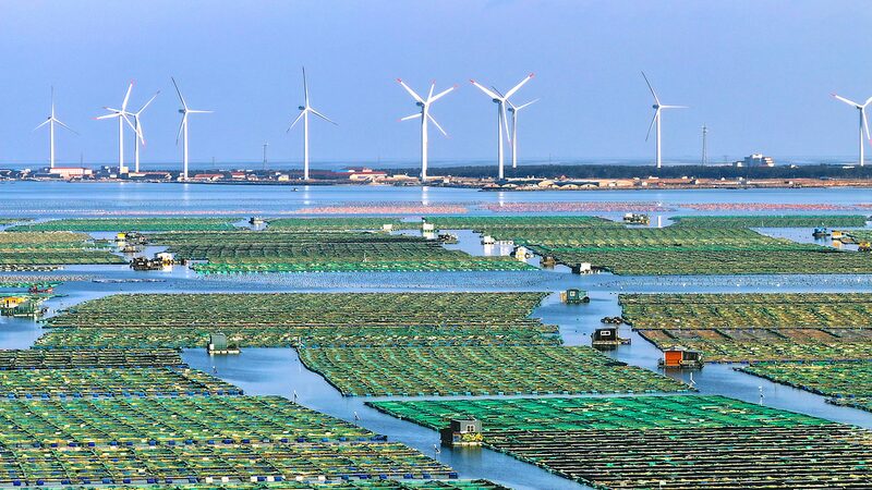 China_brilla_en_Davos__la_innovacio_n_tecnolo_gica_y_el_crecimiento_verde_ocupan_el_centro_del_escenario___