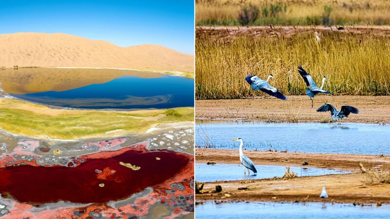 _China_celebra_mientras_dos_maravillas_naturales_se_unen_a_la_lista_de_Patrimonios_de_la_Humanidad_de_la_UNESCO_